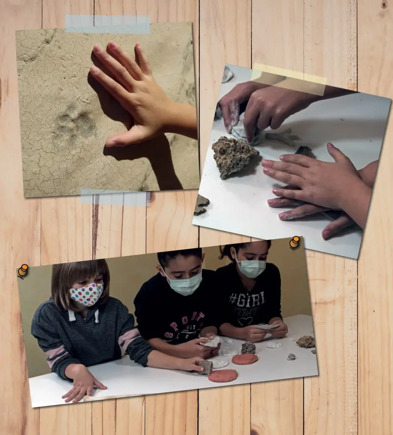 Las Huellas del Pasado Primaria