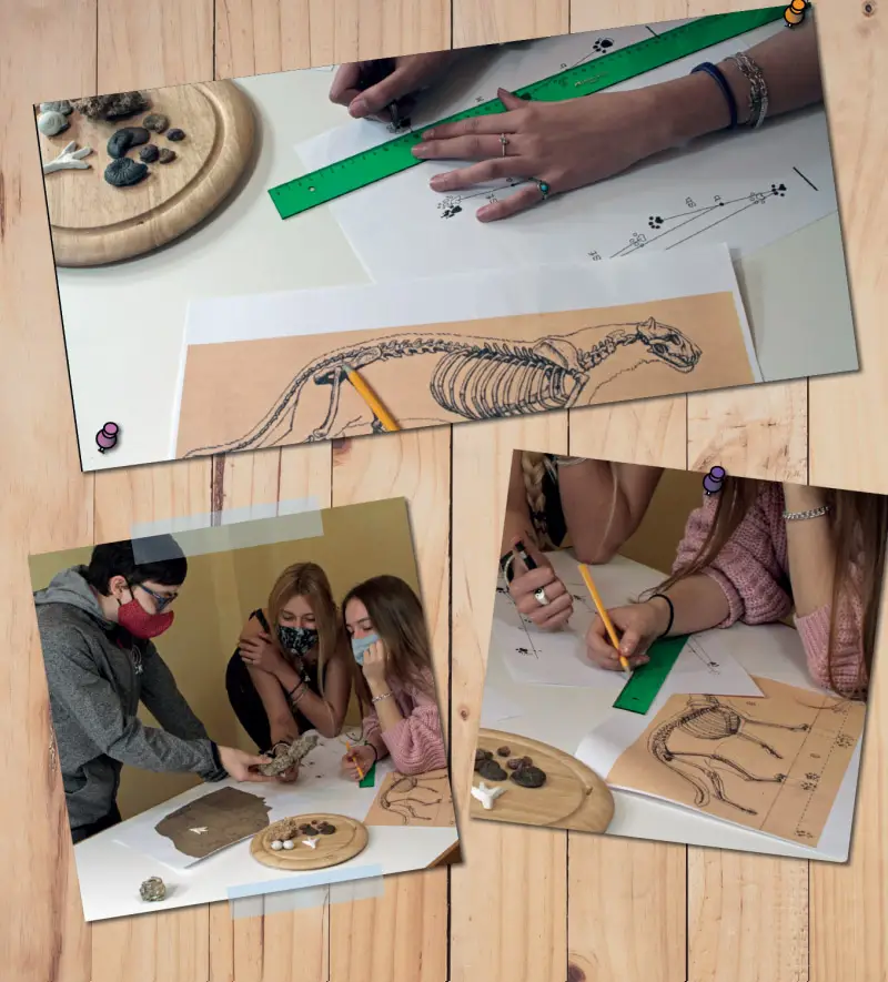 Las Huellas del Pasado Secundaria